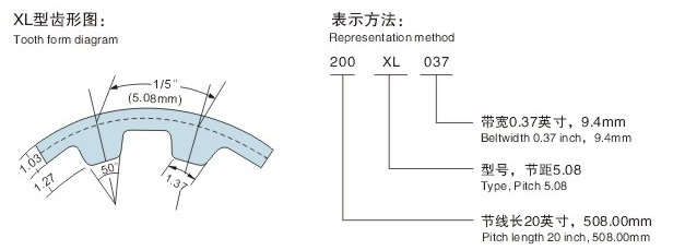 XL齒形圖