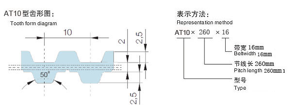 AT10同步帶齒型圖